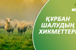 ҚҰРБАН ШАЛУДЫҢ ХИКМЕТТЕРІ